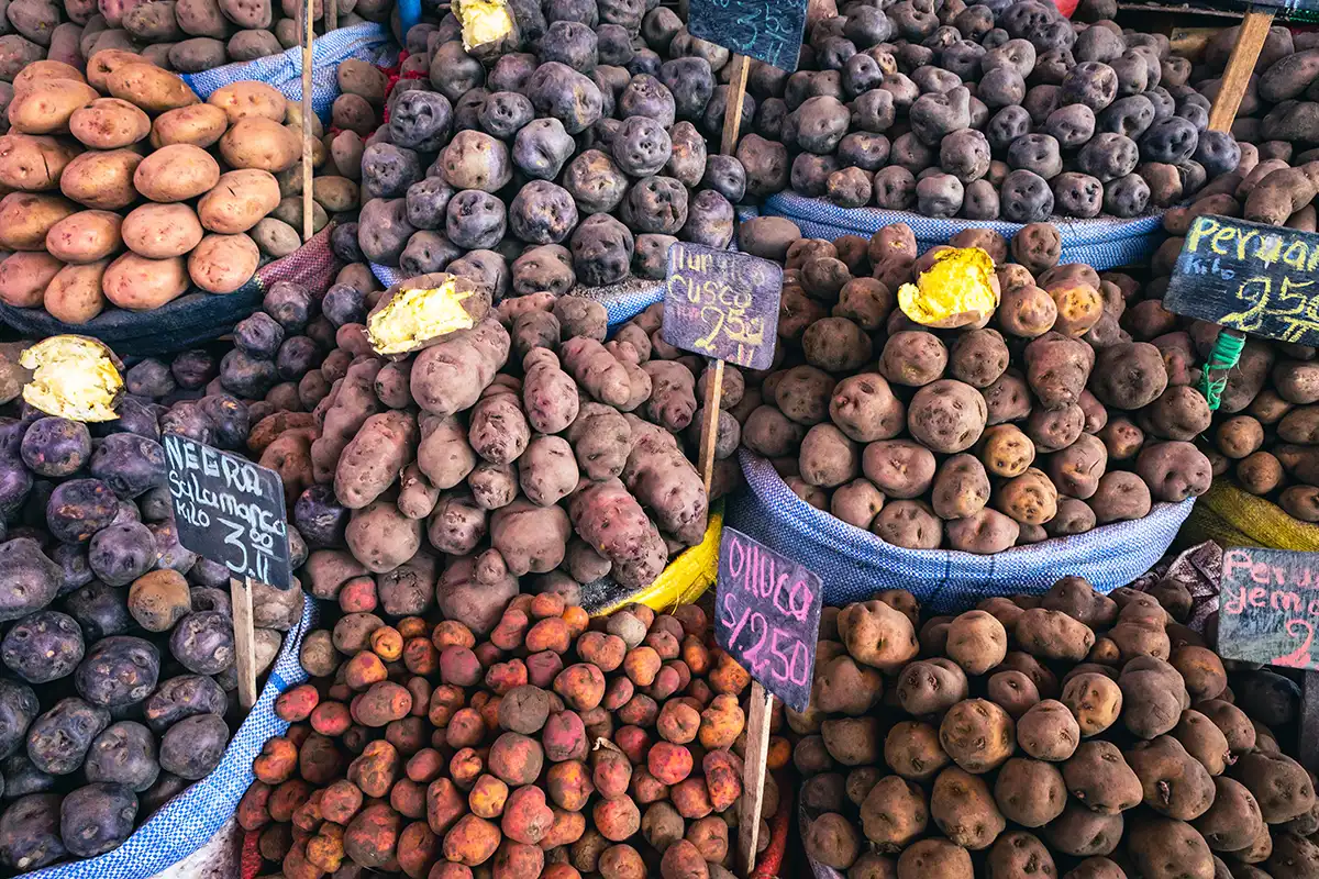 Dutzende einheimische peruanische Kartoffelsorten — lila, burgunderrot, gelb und rosa — in Marktkisten mit handgeschriebenen Preisschildern.